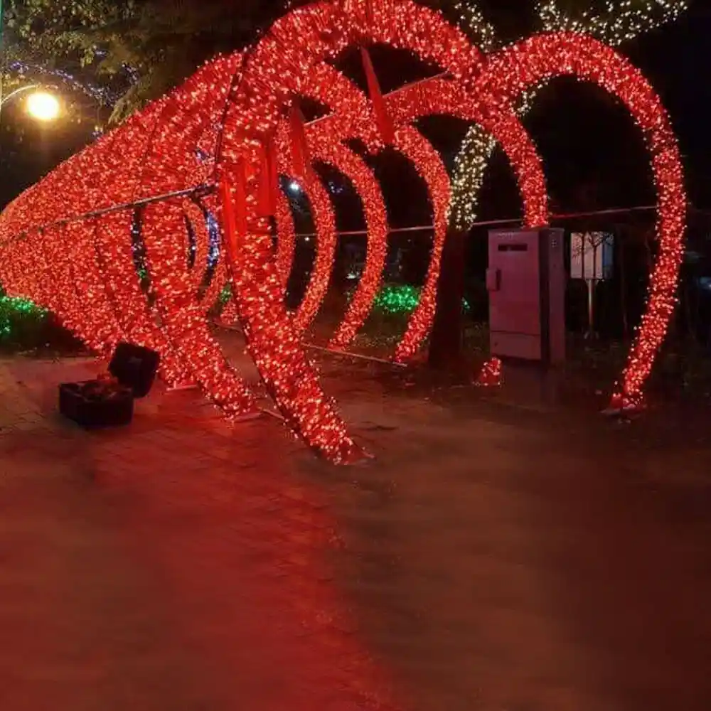 Sevgililer Günü Işık Süsleme